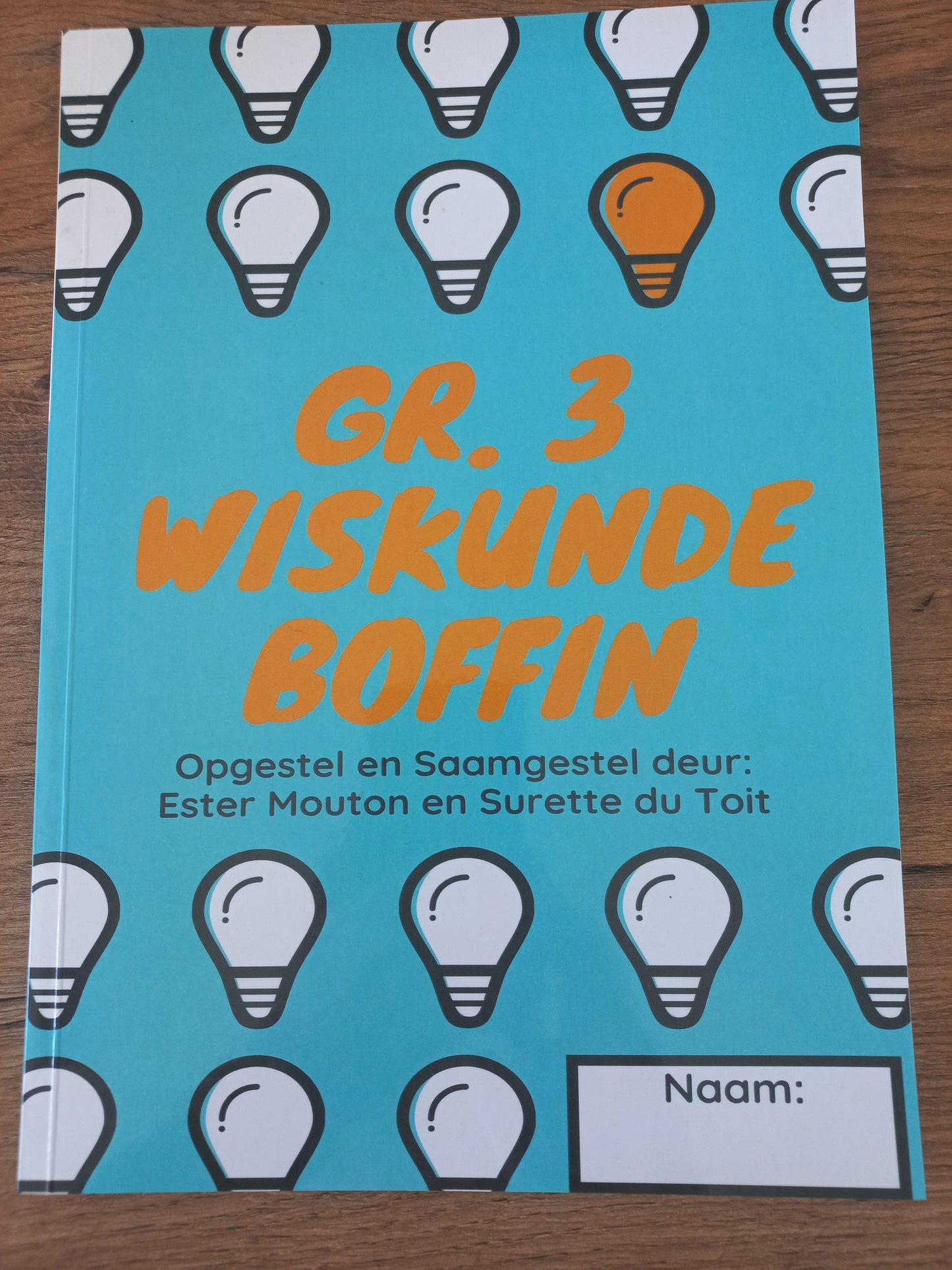 Boffin Wiskunde Graad 3