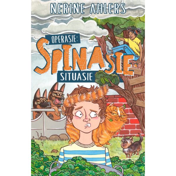 Operasie Spinasie Situasie