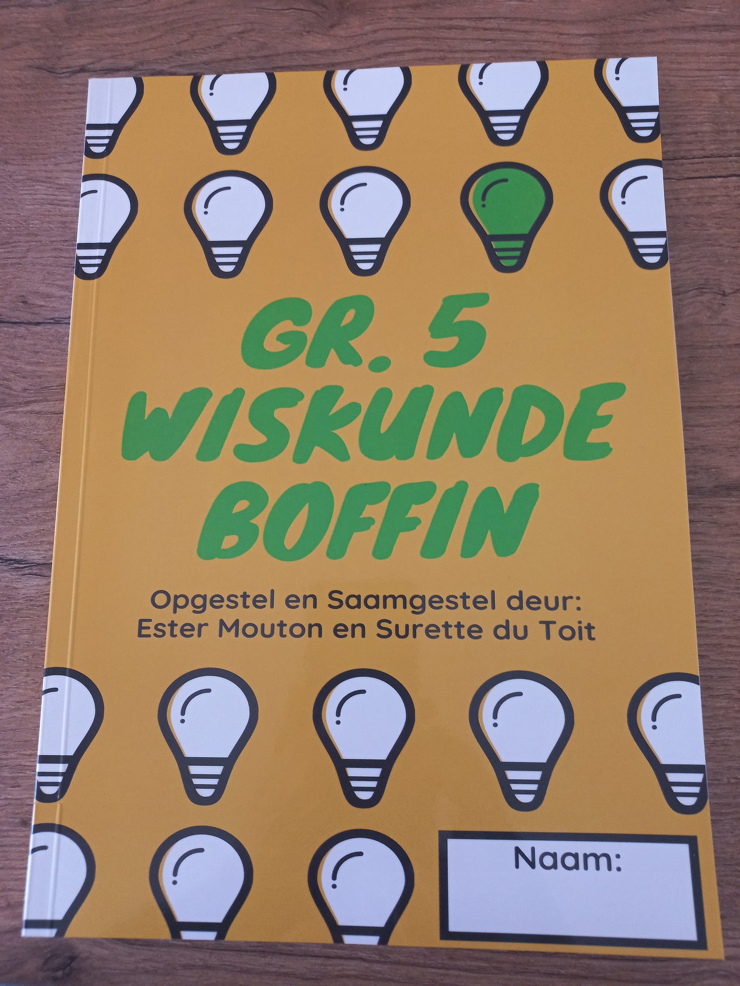 Boffin Wiskunde Graad 5