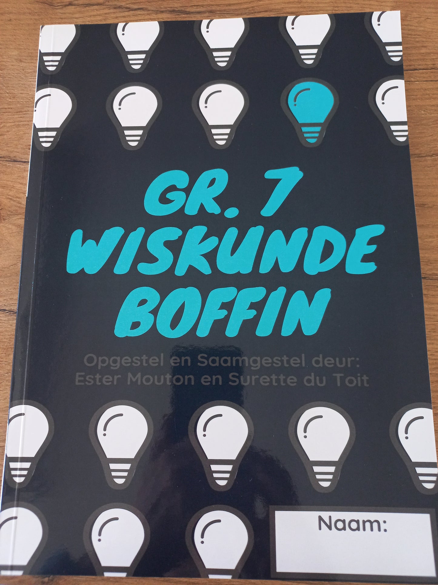 Boffin Wiskunde boeke Graad 7
