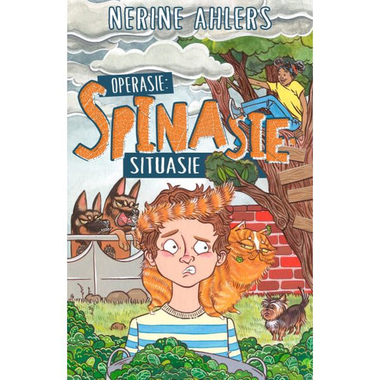 Operasie Spinasie Situasie