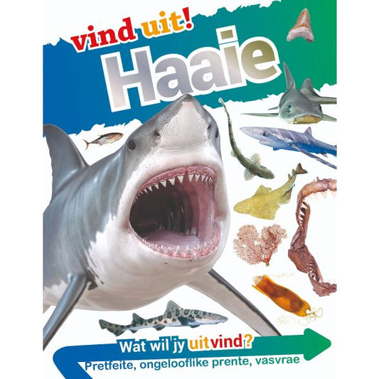 Vind Uit: Haaie